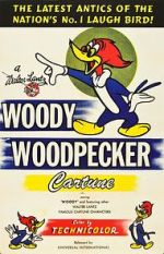 Watch The Woody Woodpecker Polka Vidbull