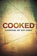 Watch Cooked: Survival by Zip Code Vidbull