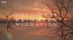 Watch All Aboard! The Great Reindeer Migration Vidbull