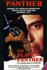Watch The Black Panther Vidbull