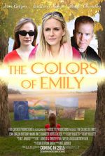 Watch The Colors of Emily Vidbull