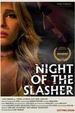 Watch Night of the Slasher Vidbull