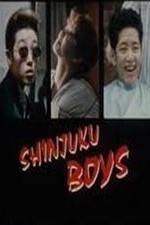 Watch Shinjuku Boys Vidbull