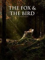 Watch The Fox and the Bird (Short 2019) Vidbull