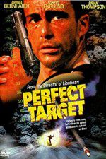 Watch Perfect Target Vidbull