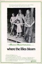 Watch Where the Lilies Bloom Vidbull