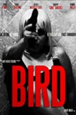 Watch Bird Vidbull