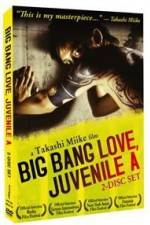 Watch Big Bang Love Juvenile A Vidbull