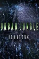 Watch National Geographic Wild Urban Jungle Downtown Vidbull