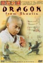 Watch Long zai Shaolin Vidbull