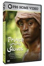 Watch Prince Among Slaves Vidbull