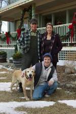 Watch Hallmark Hall of Fame A Dog Named Christmas Vidbull