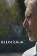 Watch Senna The Last Teammate Vidbull