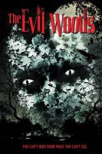 Watch The Evil Woods Vidbull
