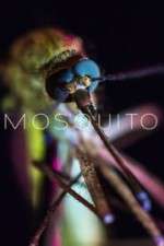 Watch Mosquito Vidbull