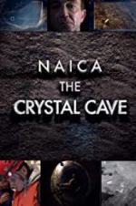 Watch Naica: Secrets of the Crystal Cave Vidbull