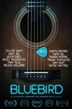Watch Bluebird Vidbull