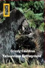 Watch National Geographic Grizzly Cauldron Vidbull