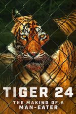Watch Tiger 24 Vidbull