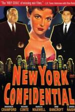 Watch New York Confidential Vidbull