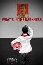 Watch What\'s in the Darkness Vidbull