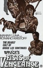 Watch Bruce\'s Fists of Vengeance Vidbull
