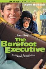 Watch The Barefoot Executive Vidbull