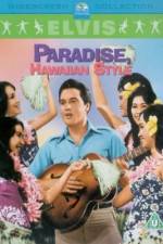 Watch Paradise Hawaiian Style Vidbull