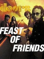Watch Feast of Friends Vidbull