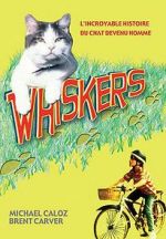 Watch Whiskers Vidbull