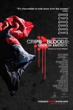 Watch Crips and Bloods: Made in America Vidbull