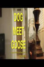 Watch Dog Meet Goose Vidbull