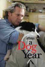 Watch A Dog Year Vidbull