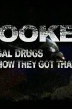 Watch Hooked: Illegal Drugs and How They Got That Way - Cocaine Vidbull