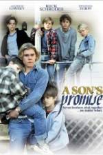 Watch A Son's Promise Vidbull