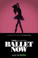 Watch Ballet Now Vidbull