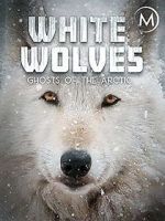Watch White Wolves: Ghosts of the Arctic Vidbull