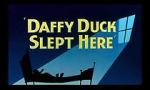 Watch Daffy Duck Slept Here (Short 1948) Vidbull