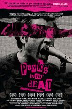 Watch Punk's Not Dead Vidbull