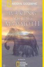 Watch Waking the Baby Mammoth Vidbull
