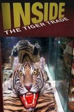 Watch Inside: The Tiger Trade Vidbull