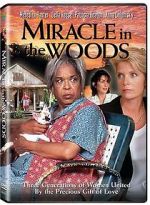 Watch Miracle in the Woods Vidbull