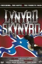 Watch Lynrd Skynyrd: Tribute Tour Concert Vidbull
