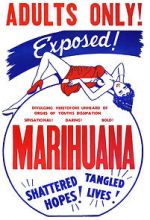 Watch Marihuana Vidbull