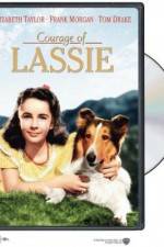 Watch Courage of Lassie Vidbull