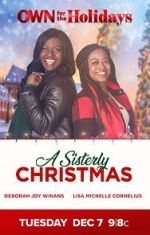 Watch A Sisterly Christmas Vidbull