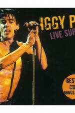 Watch Iggy Pop live at Rockpalast Vidbull