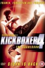 Watch Kickboxer 4: The Aggressor Vidbull