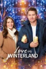 Watch Love in Winterland Vidbull