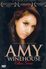 Watch Amy Winehouse Fallen Star Vidbull